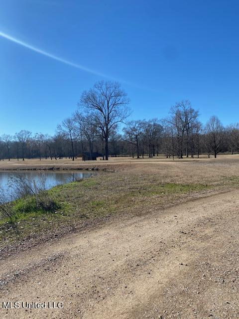 Cripple Creek Road, Canton, Mississippi image 18