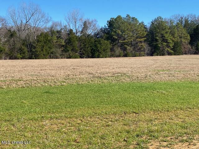 Cripple Creek Road, Canton, Mississippi image 3