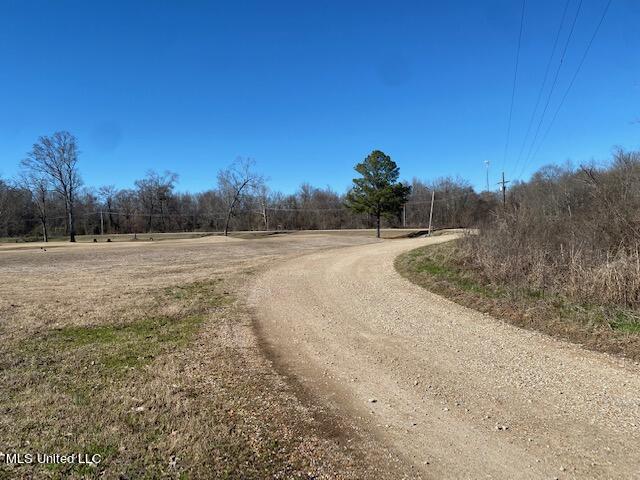 Cripple Creek Road, Canton, Mississippi image 17