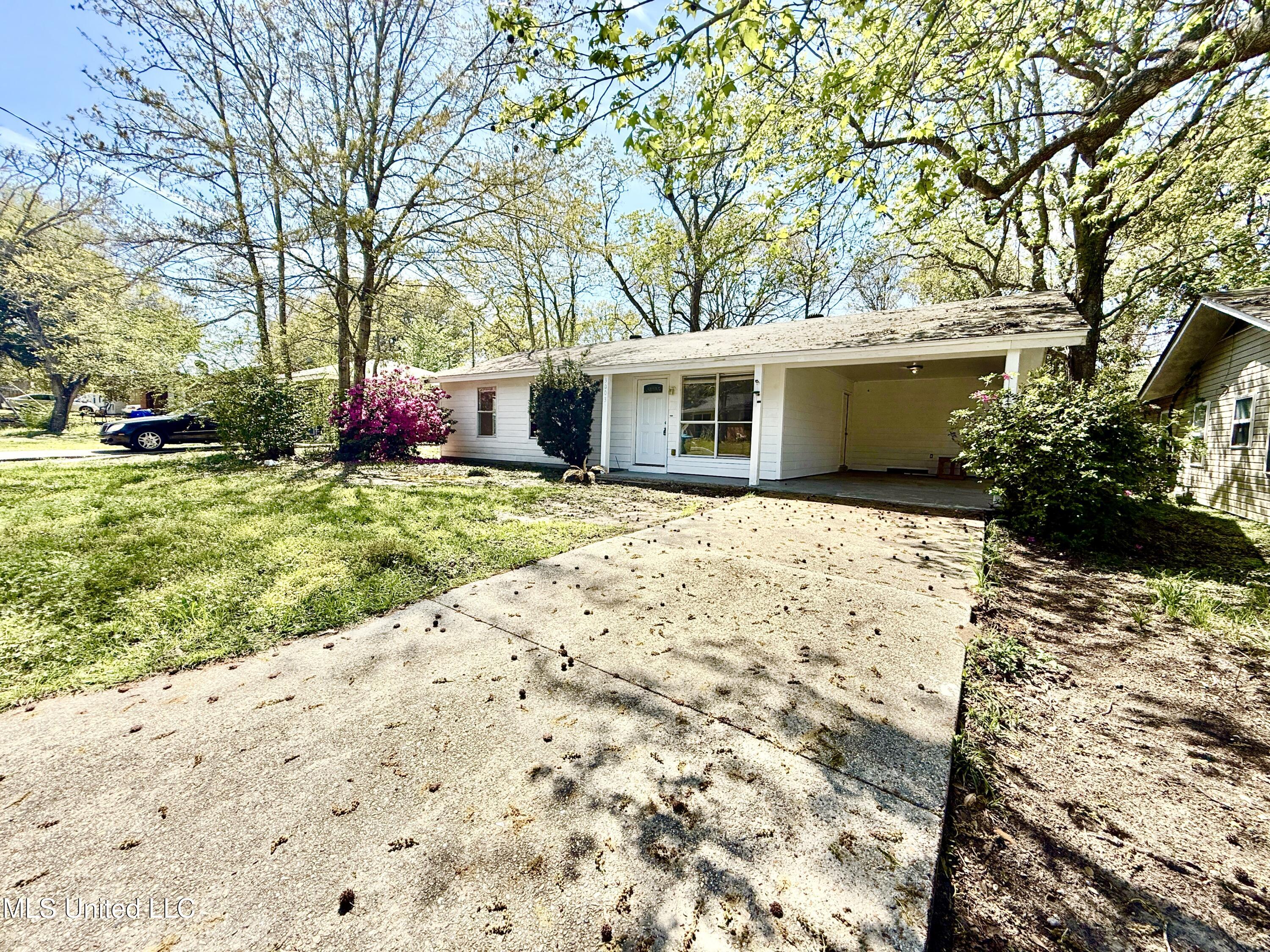 3003 Pineland Drive, Gulfport, Mississippi image 7