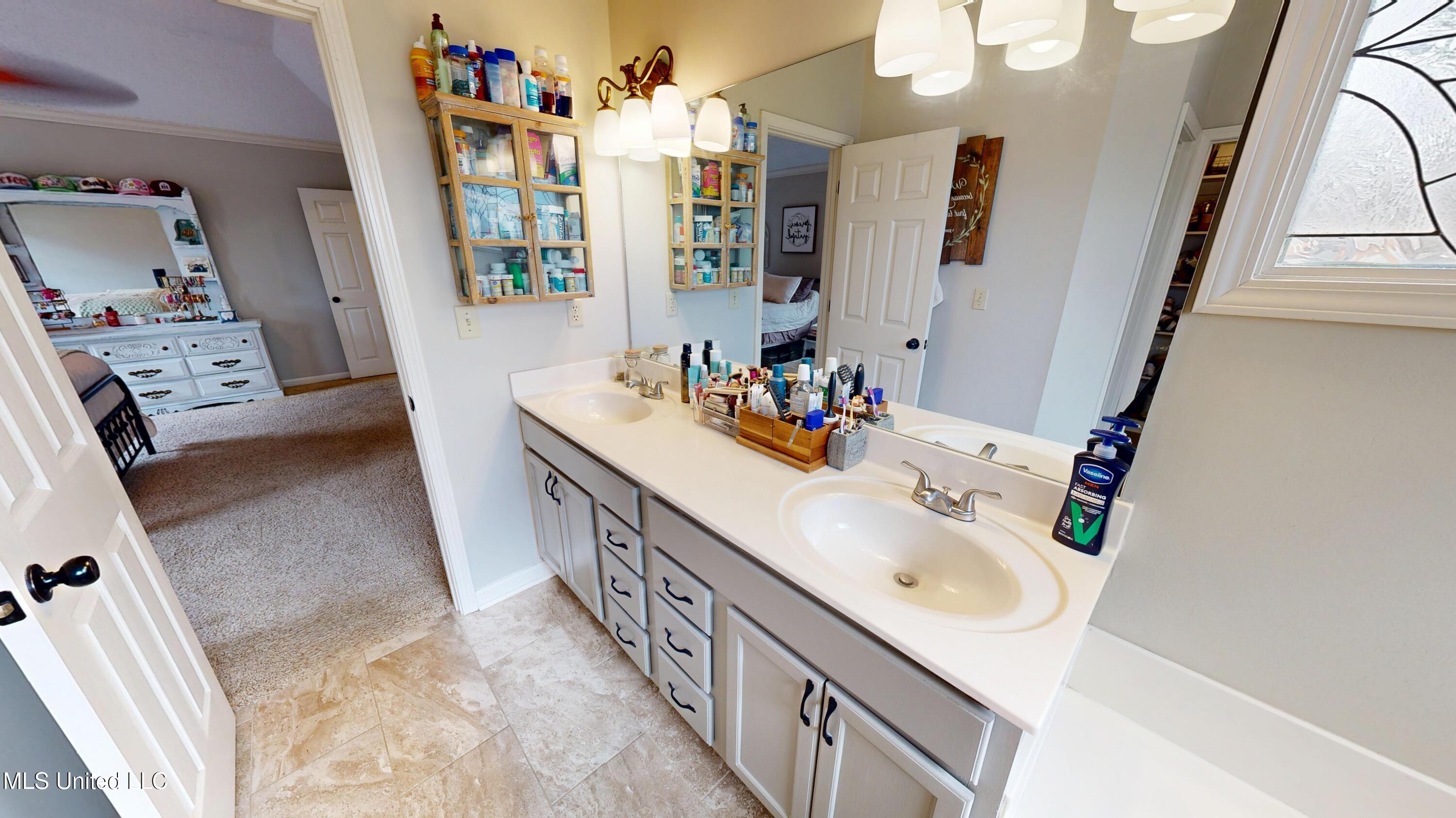 6776 Dianna Drive, Olive Branch, Mississippi image 22