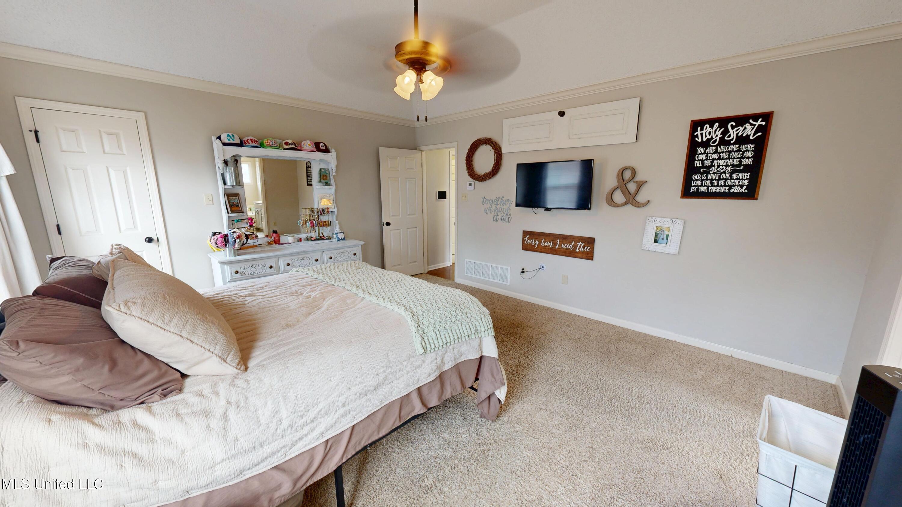 6776 Dianna Drive, Olive Branch, Mississippi image 20