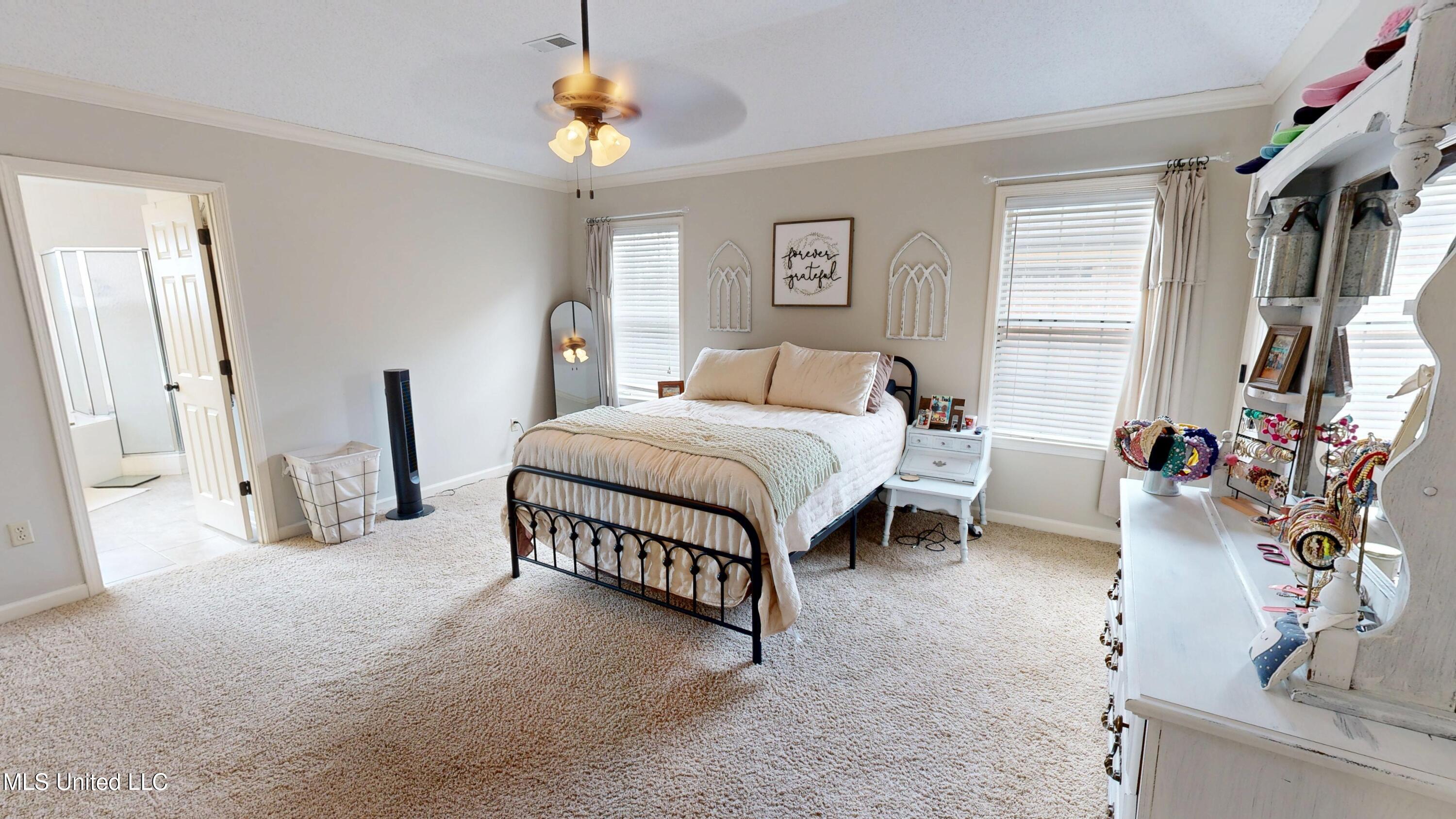 6776 Dianna Drive, Olive Branch, Mississippi image 18