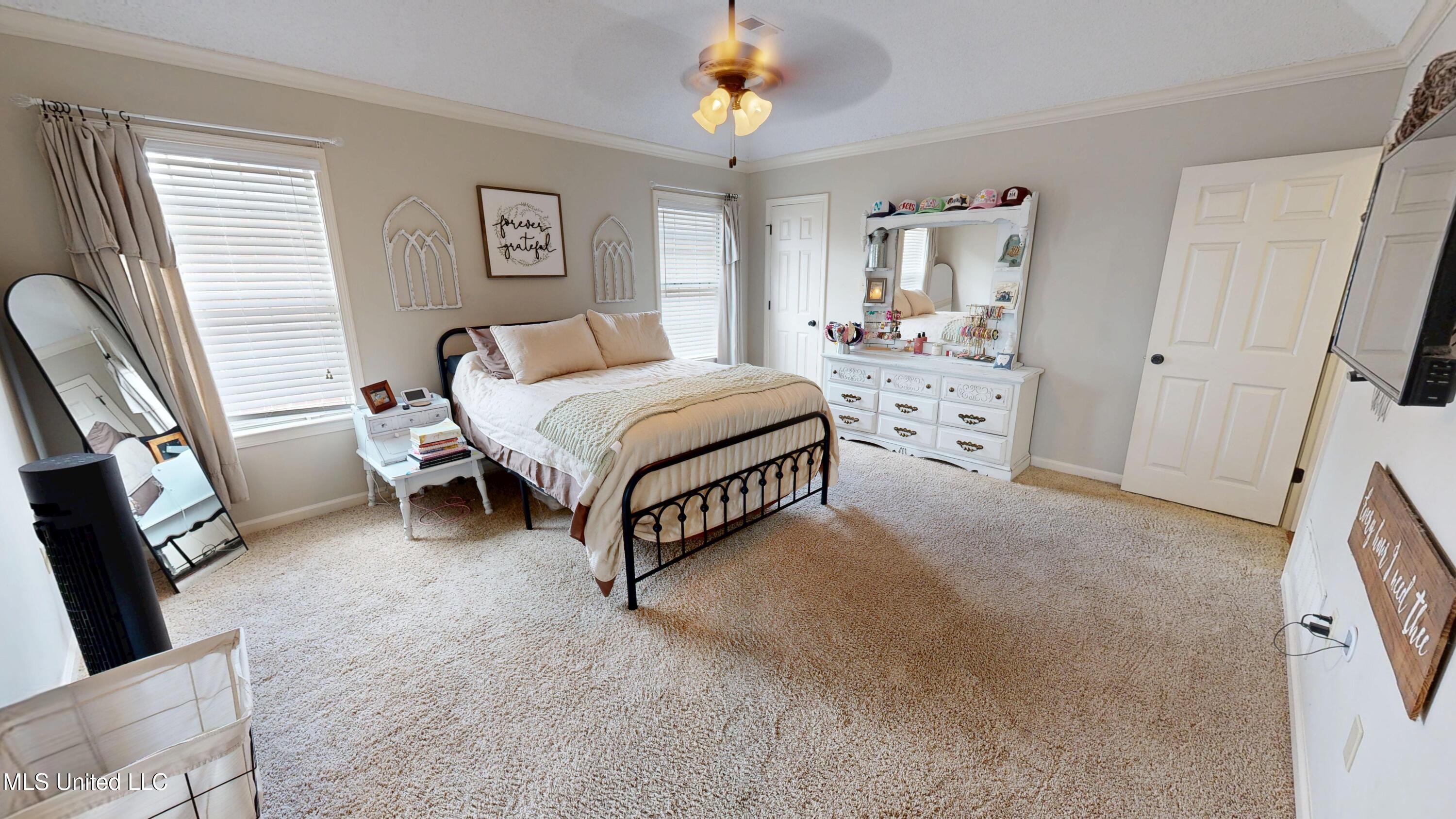 6776 Dianna Drive, Olive Branch, Mississippi image 19