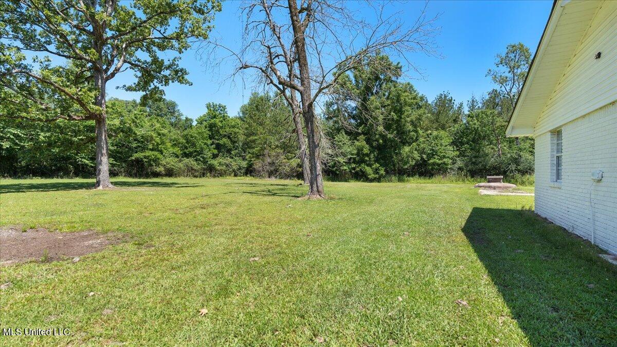 18710 Highway 80, Forest, Mississippi image 25