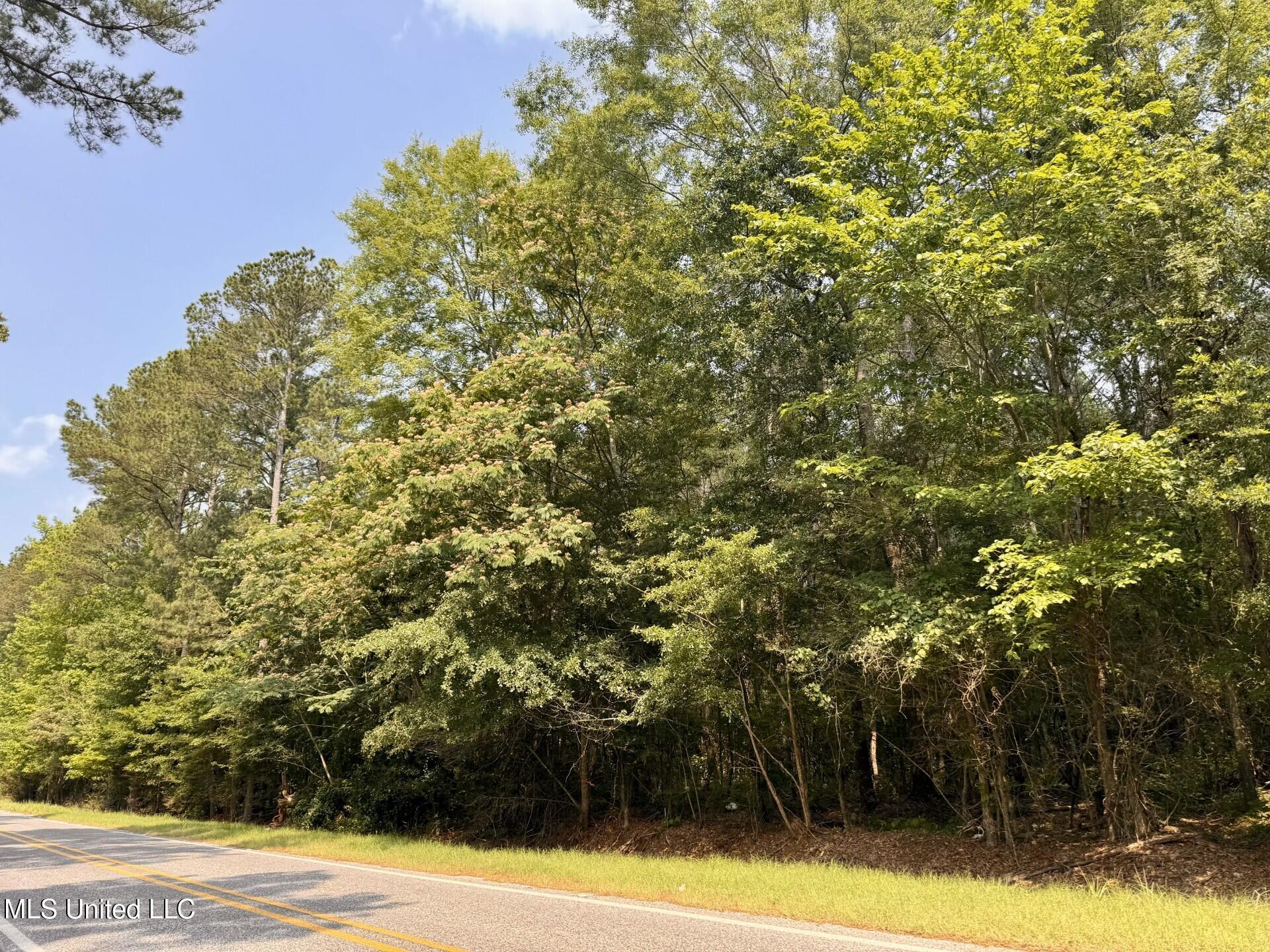 Hwy 43, Camden, Mississippi image 1