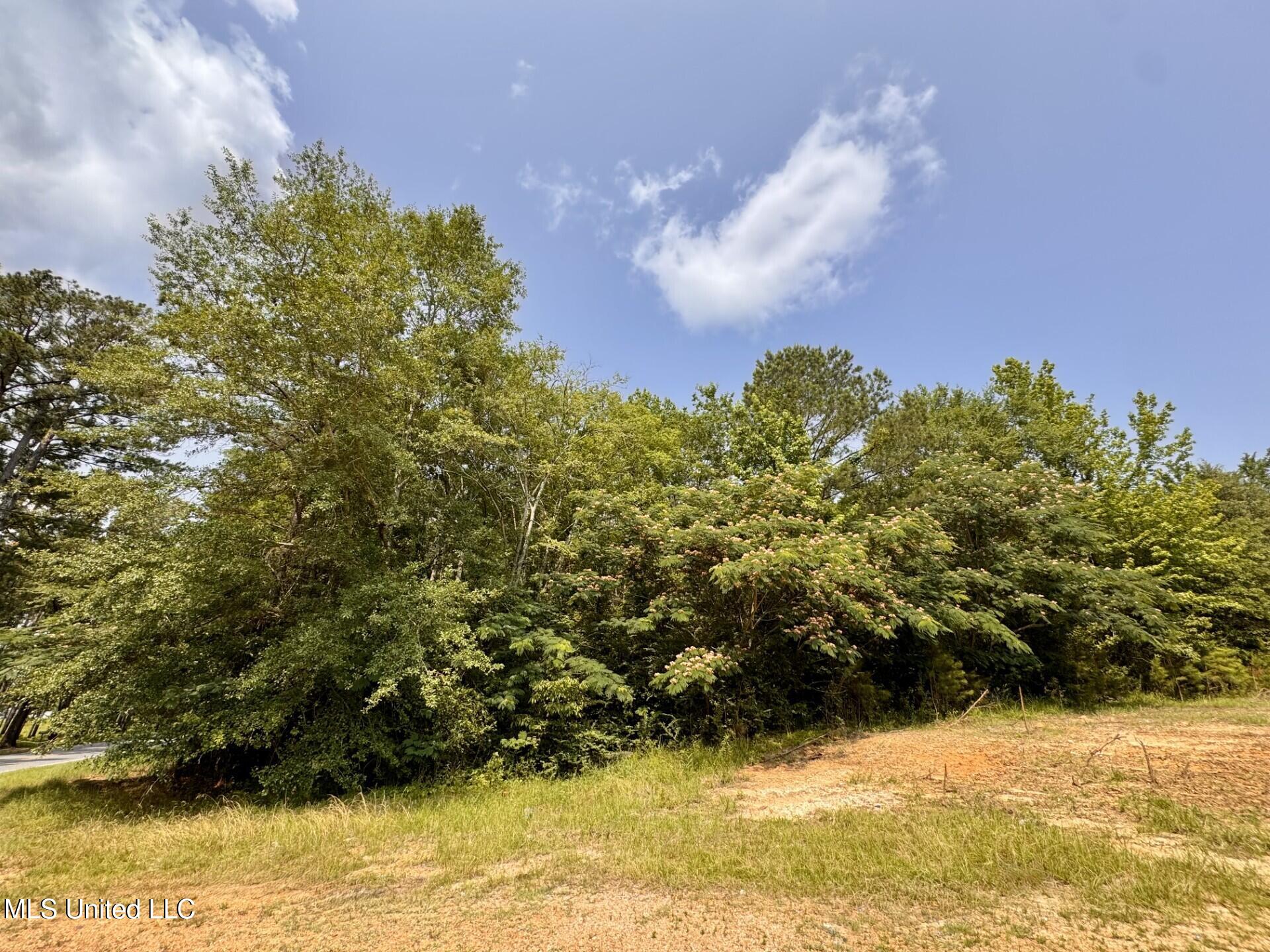 Hwy 43, Camden, Mississippi image 2