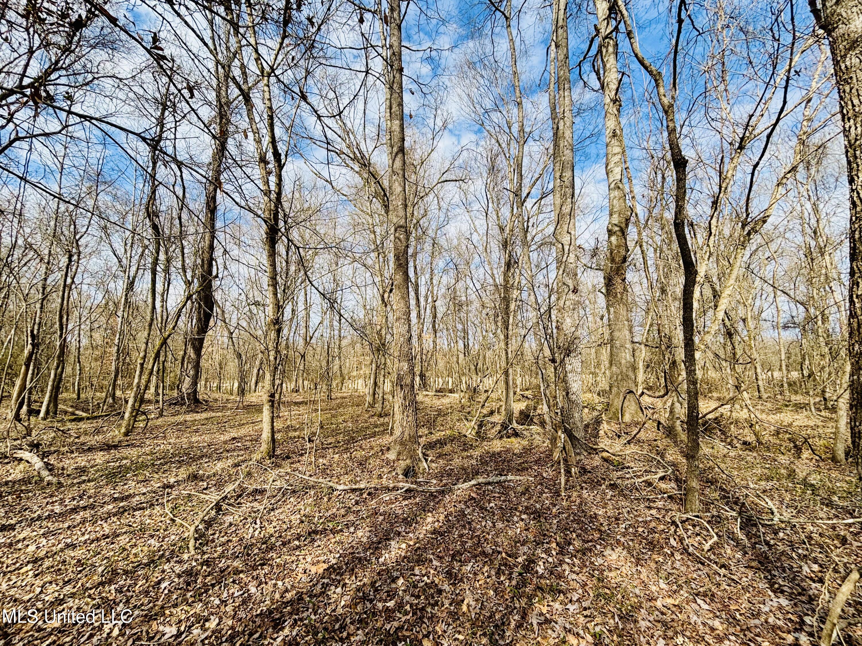 00- Kimbrough Rd, Lexington, Mississippi image 17