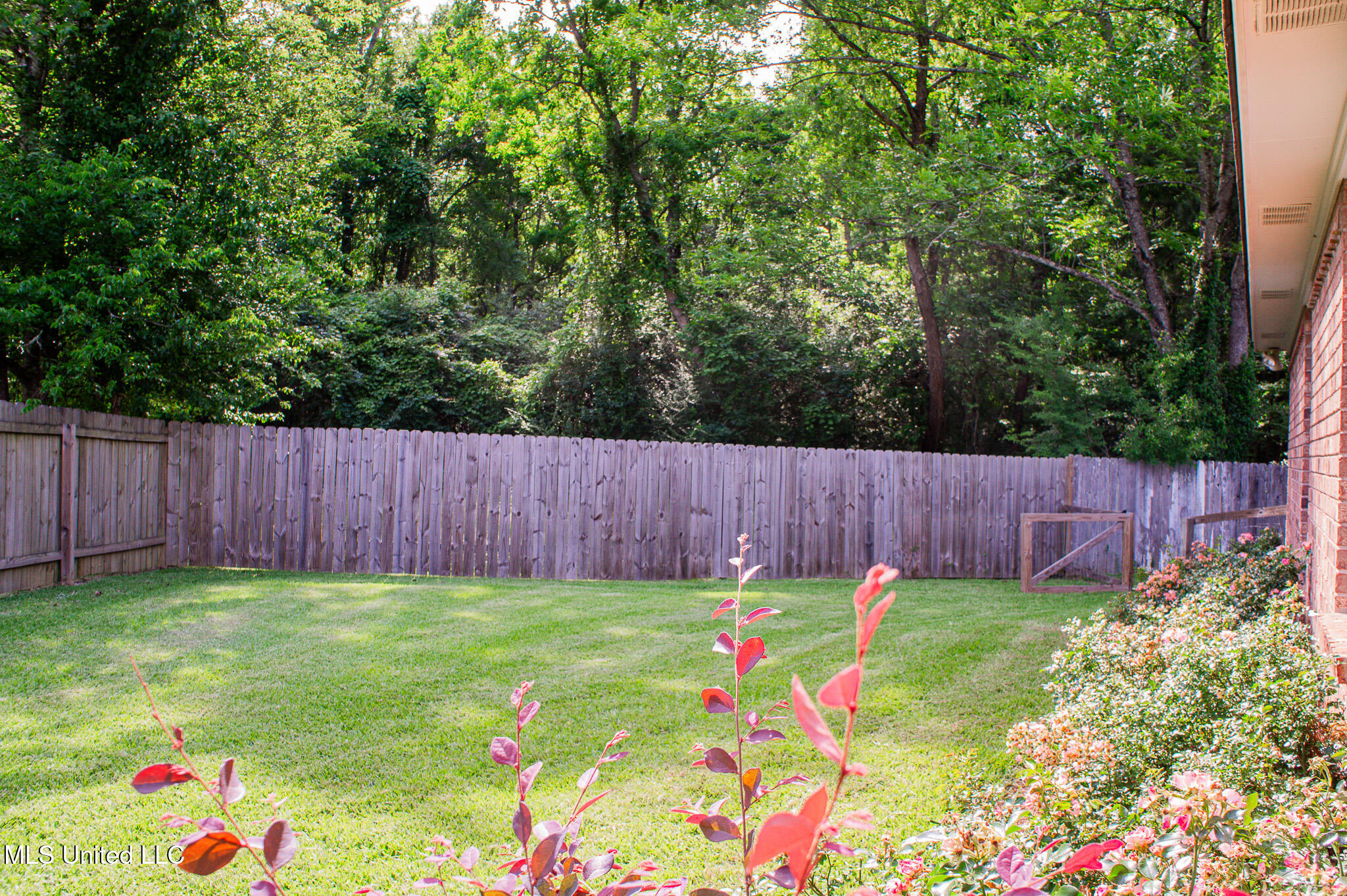 122 Fox Meadow Drive, Brandon, Mississippi image 49