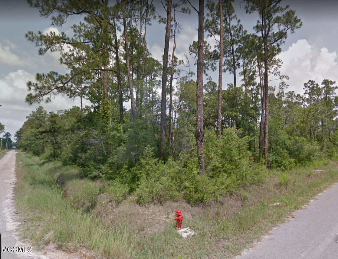 Lot 61-64 Apricot Street, Bay Saint Louis, Mississippi image 2