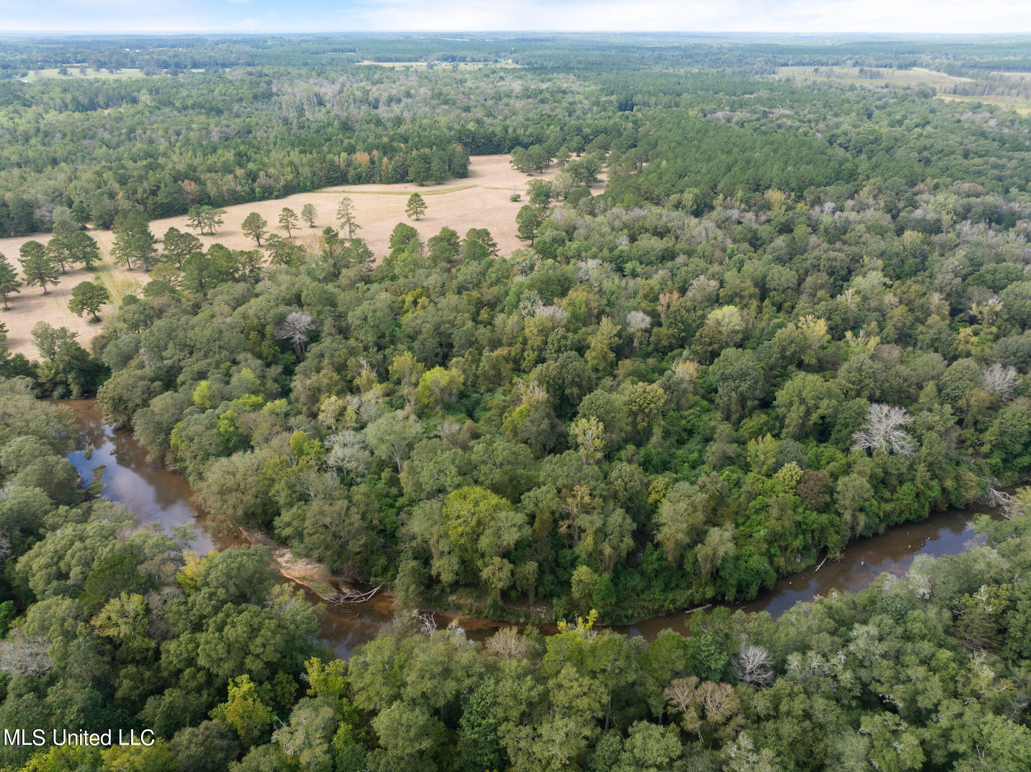 162 +/- Acres Hwy 598, Seminary, Mississippi image 10