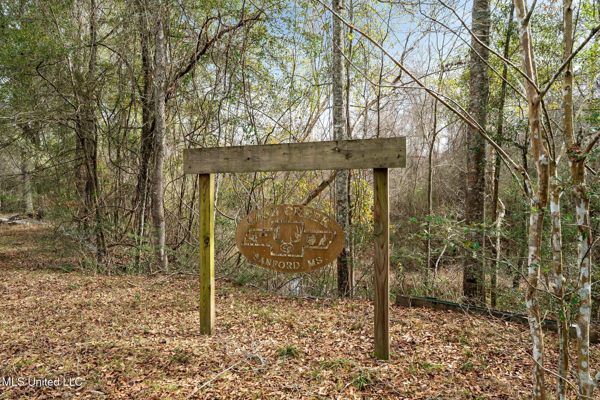 162 +/- Acres Hwy 598, Seminary, Mississippi image 24
