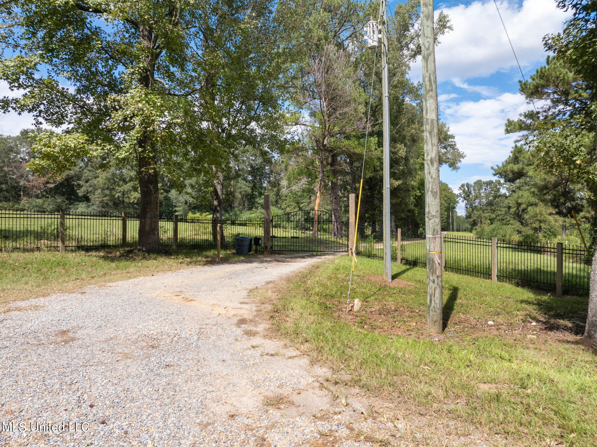 162 +/- Acres Hwy 598, Seminary, Mississippi image 3