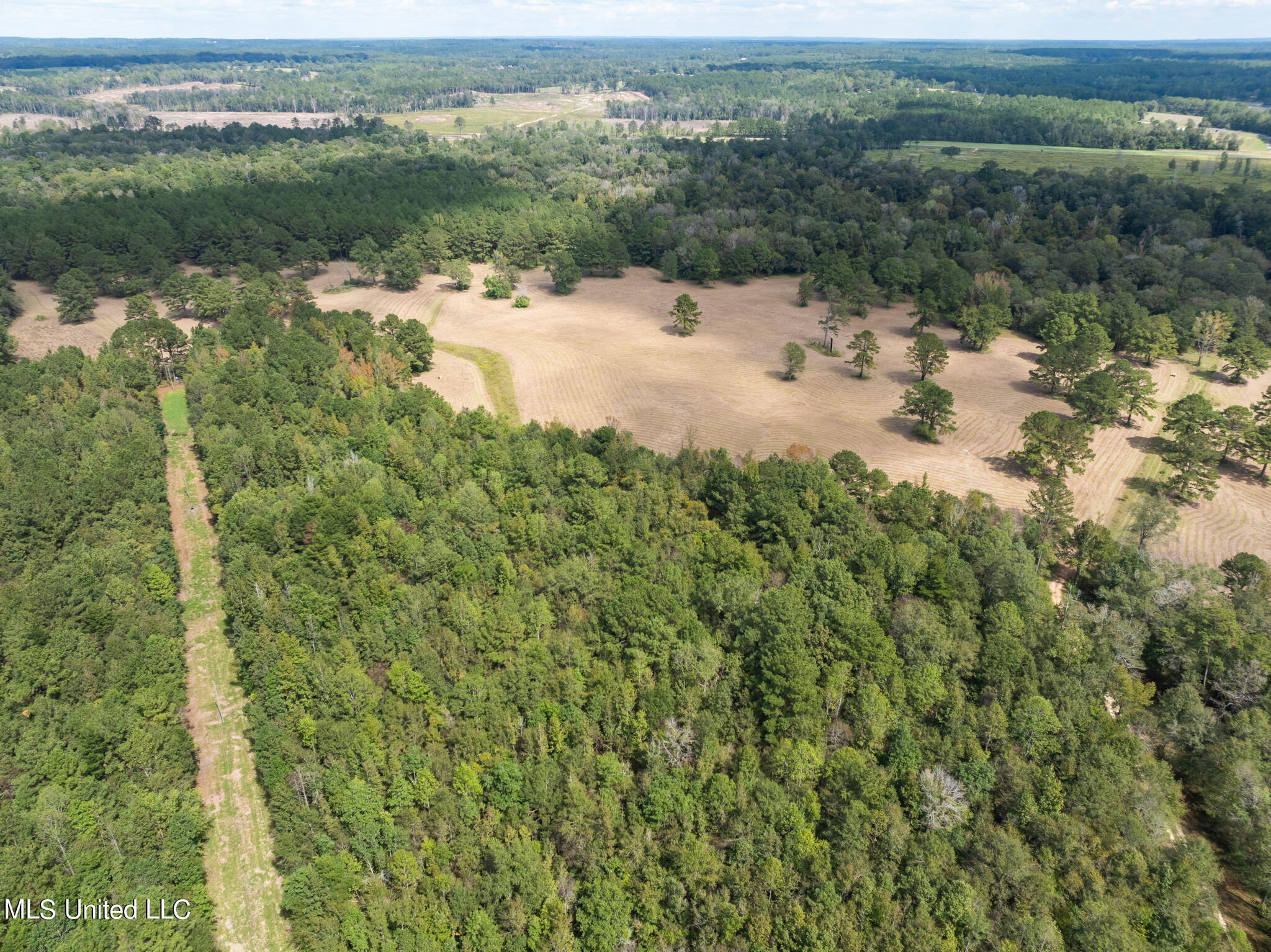 162 +/- Acres Hwy 598, Seminary, Mississippi image 6