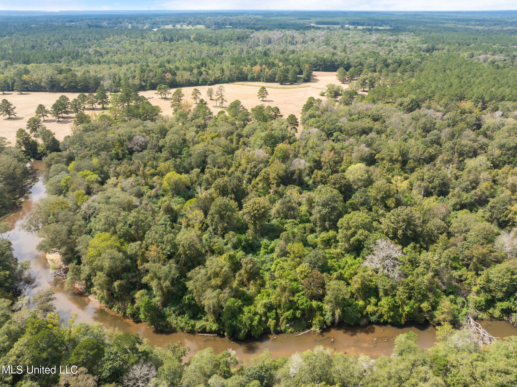 162 +/- Acres Hwy 598, Seminary, Mississippi image 12