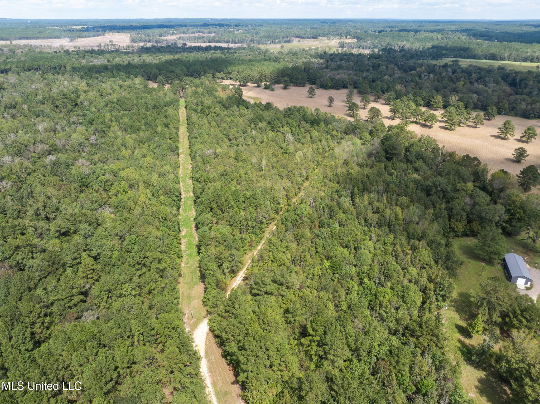 162 +/- Acres Hwy 598, Seminary, Mississippi image 5