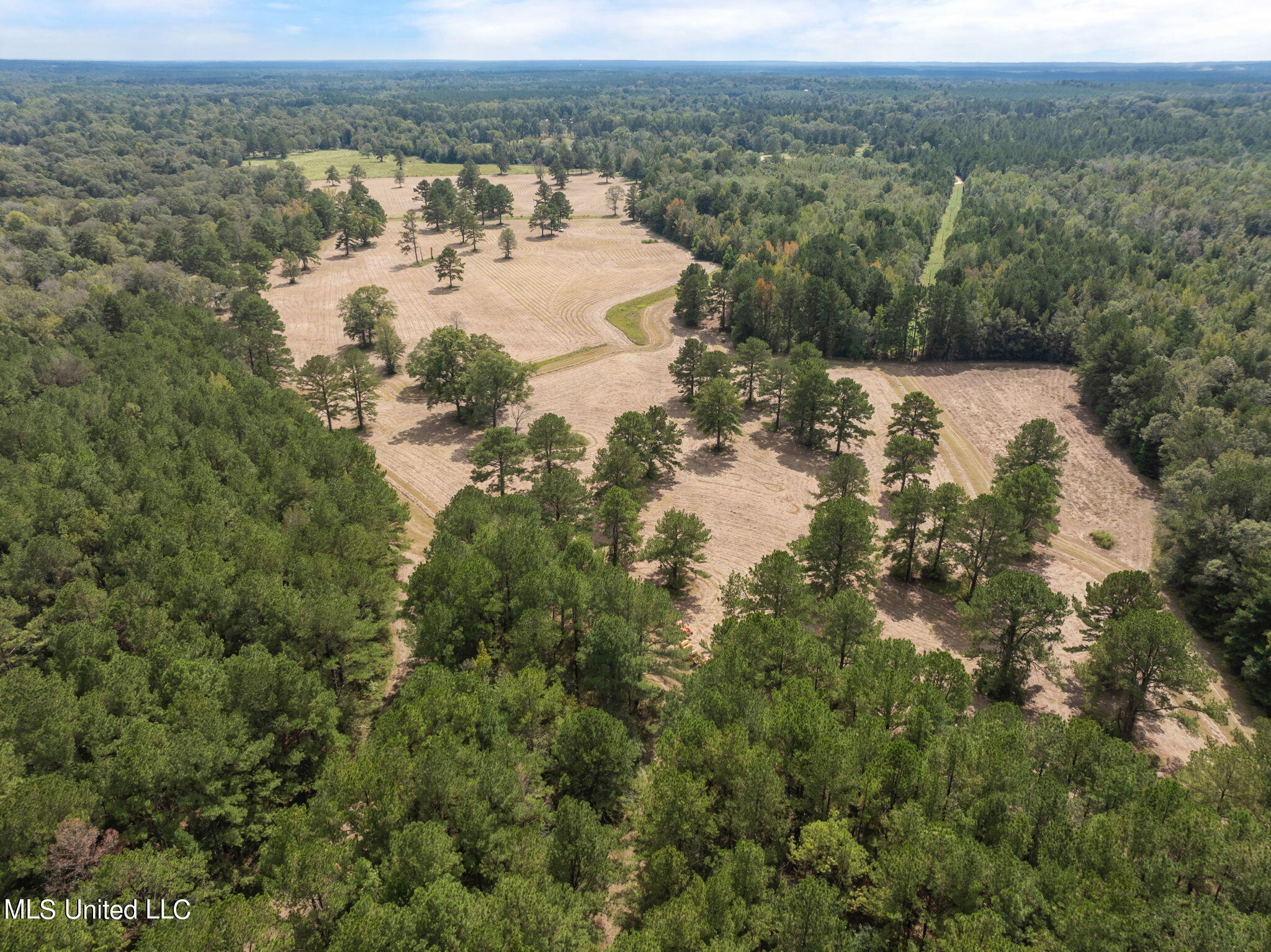 162 +/- Acres Hwy 598, Seminary, Mississippi image 14