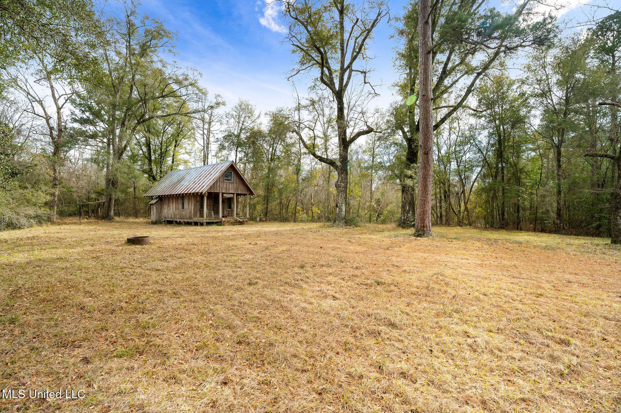 162 +/- Acres Hwy 598, Seminary, Mississippi image 21
