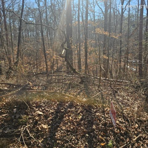 Vacant Land For Sale - 1204 Lake Breeze Drive<br/> Union County, Myrtle, MS 38650