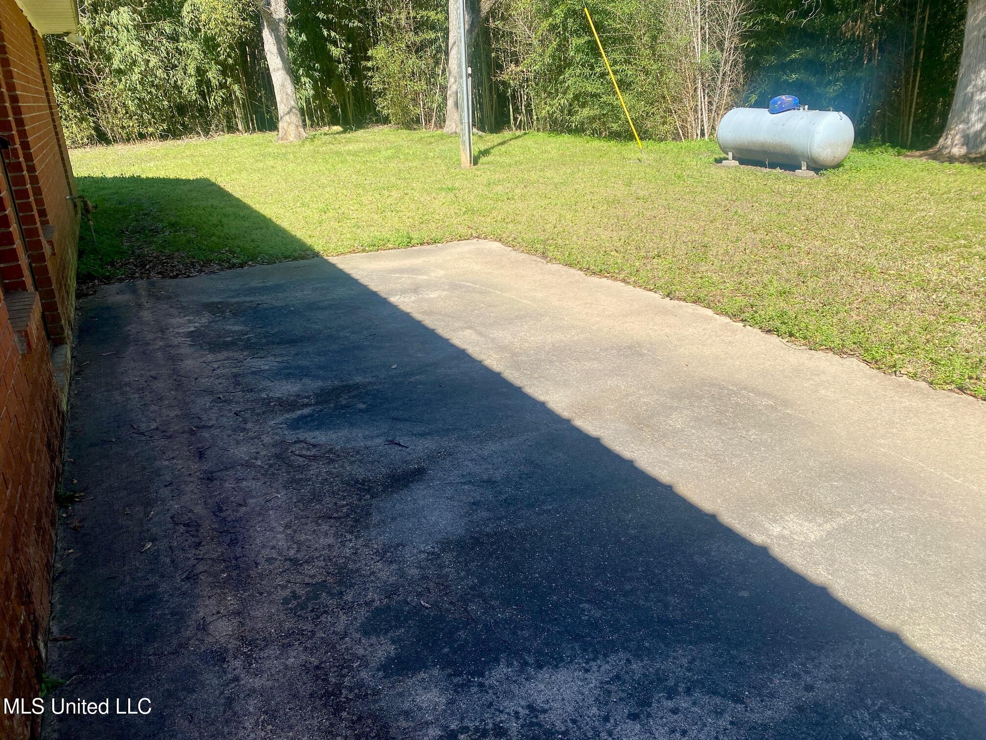 258 Mars Hill Road, Carthage, Mississippi image 9
