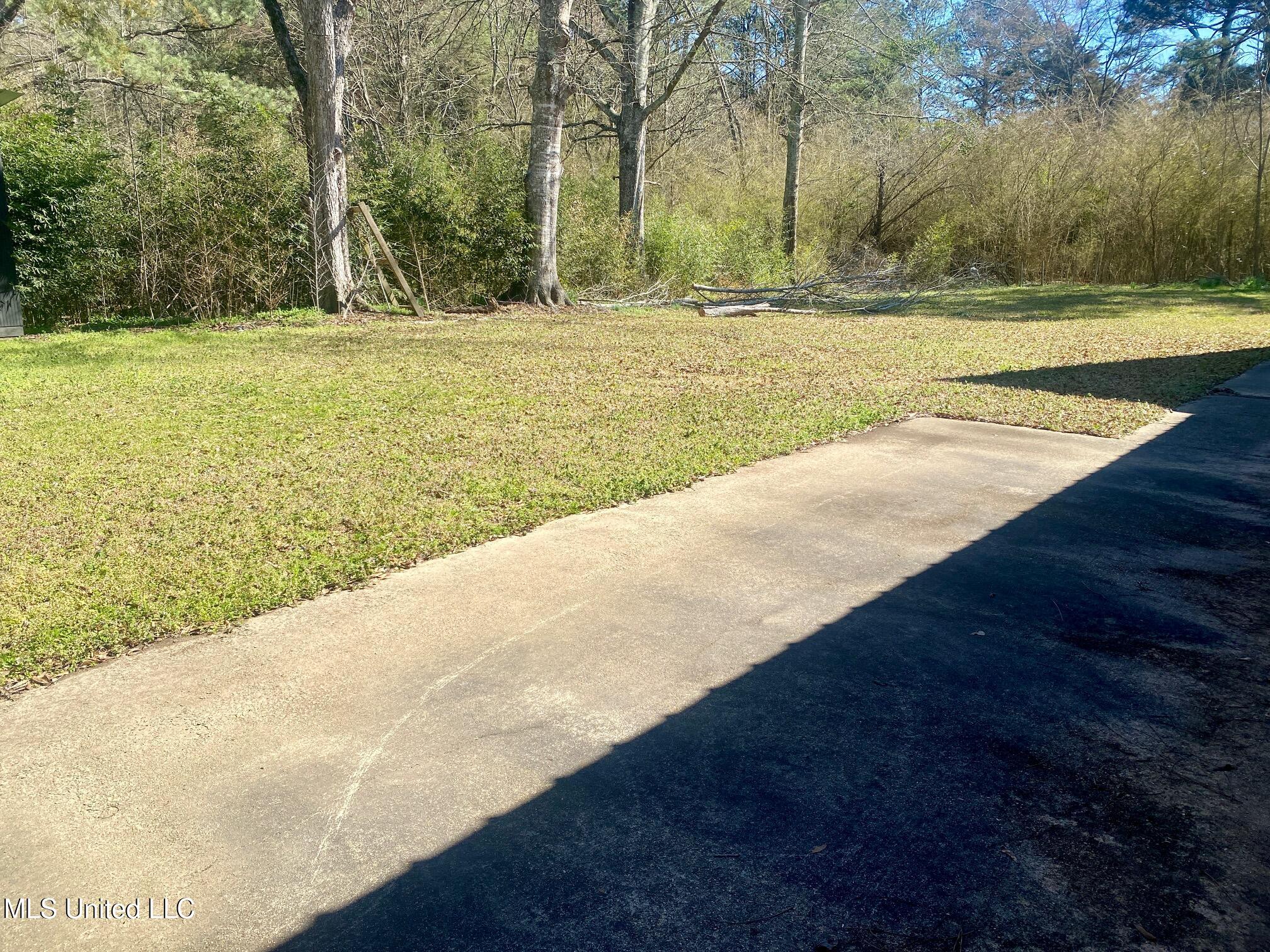 258 Mars Hill Road, Carthage, Mississippi image 10