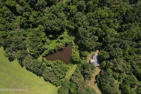 Vacant Land For Sale - Ebenezer-coxburg Road<br/> Lexington, MS 39095