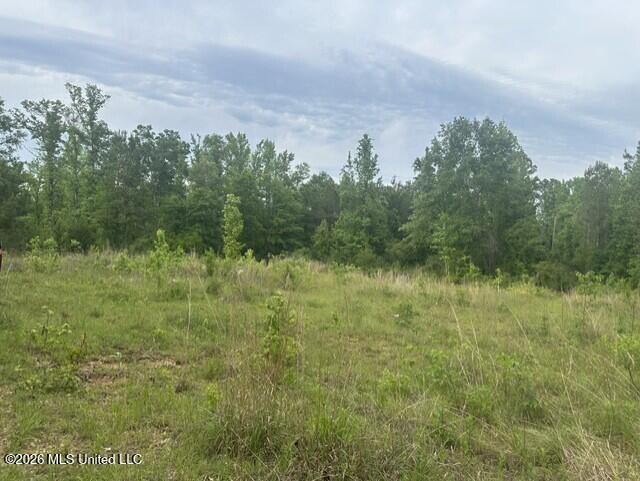 1048 Williamson Road