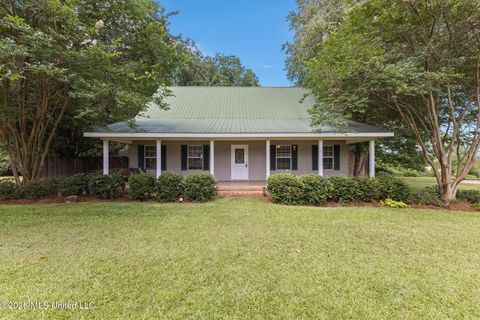 Homes For Sale - 462 Sunset-williamsburg Road<br/> Collins, MS 39428
