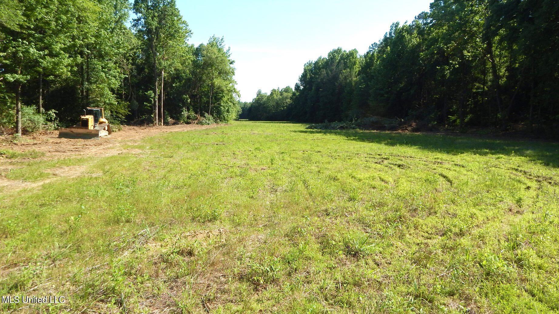 519 247 Country Road, Bruce, Mississippi image 12