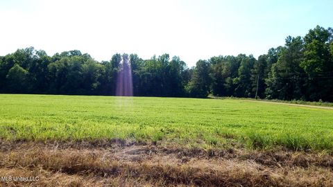 Vacant Land For Sale - 519 247 Country Road<br/> Bruce, MS 38915
