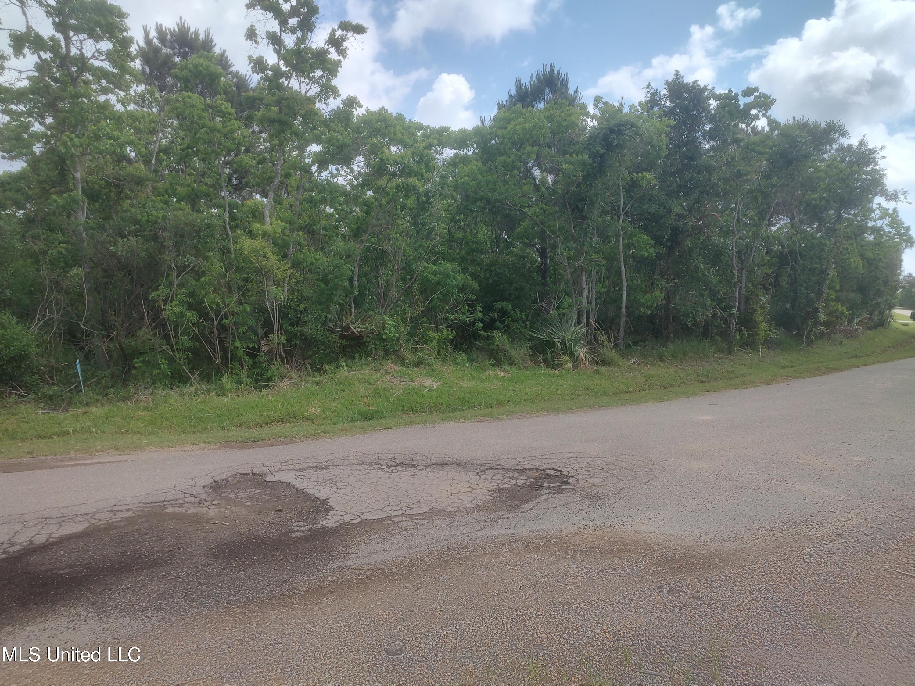 11474 Bayou View Drive, Bay Saint Louis, Mississippi image 2