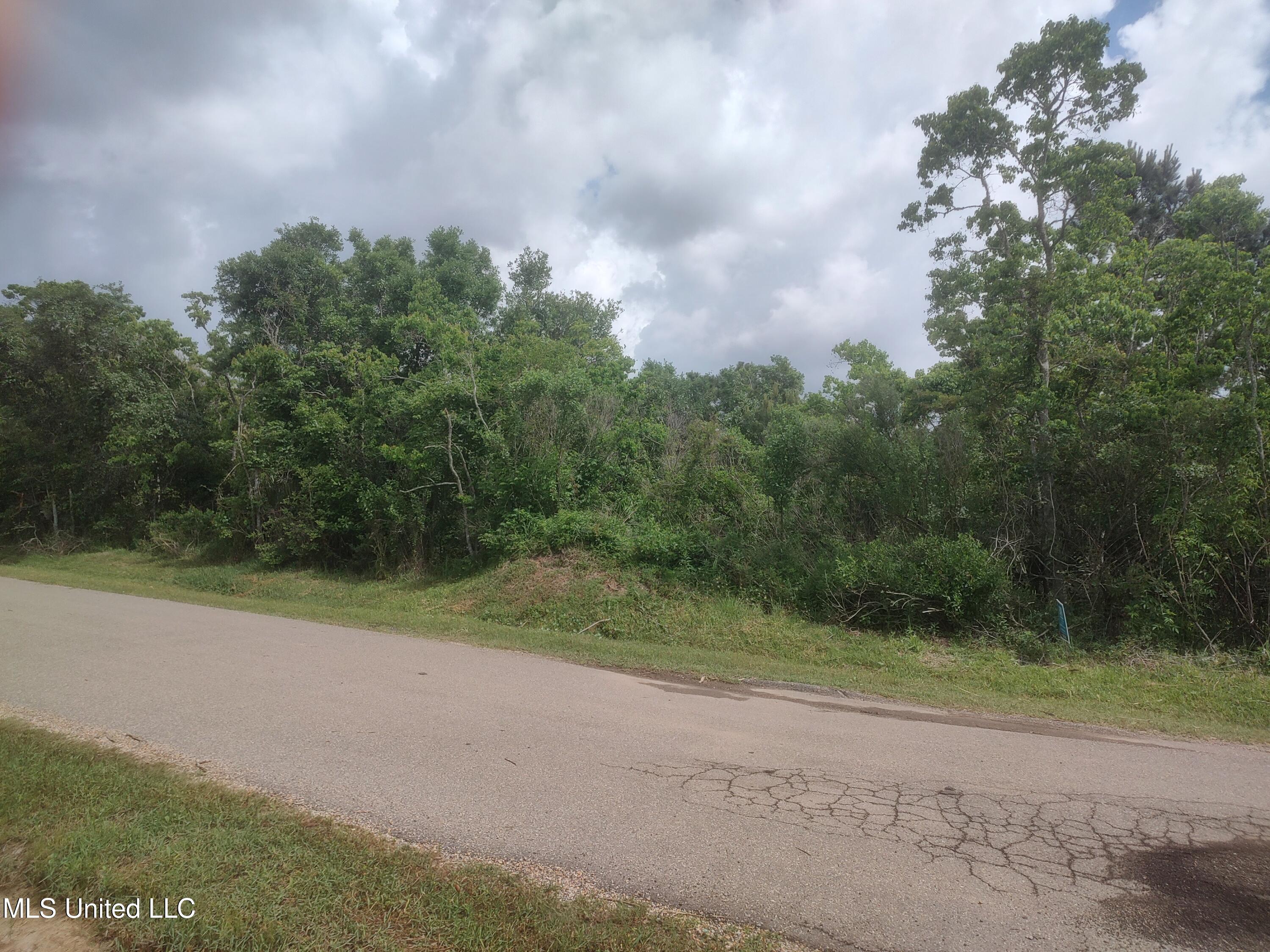 11474 Bayou View Drive, Bay Saint Louis, Mississippi image 3