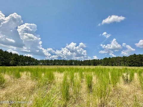 Vacant Land For Sale - 4 County Road 24<br/> Jasper County, Enterprise, MS 39330