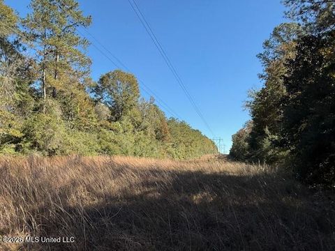 Vacant Land For Sale - Hammond Sylvest Road<br/> Franklinton, LA 70438