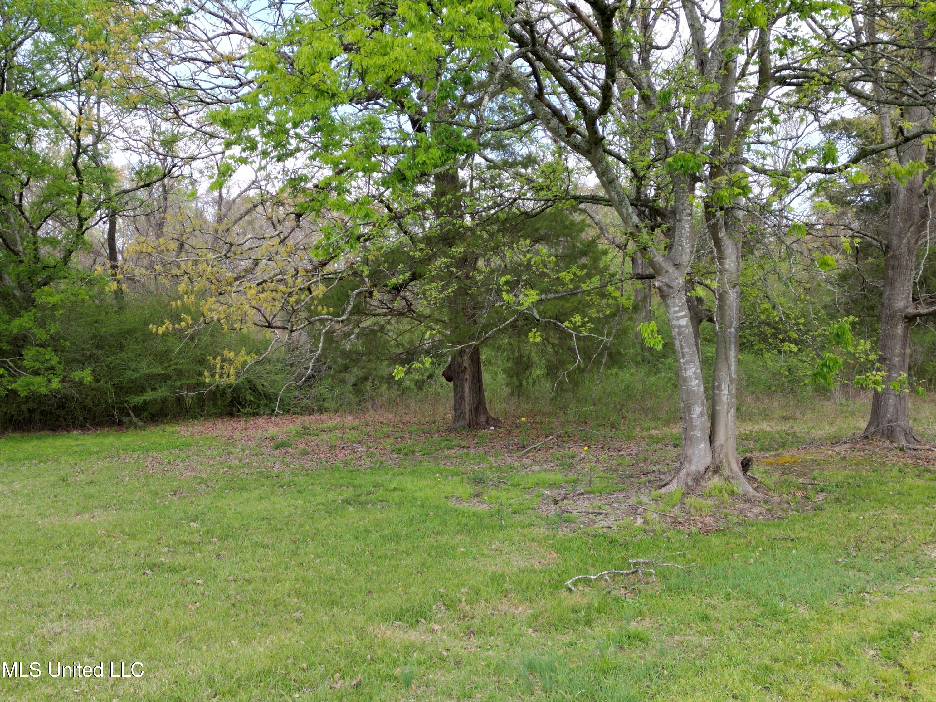 3591 Hwy 51, Madison, Mississippi image 11
