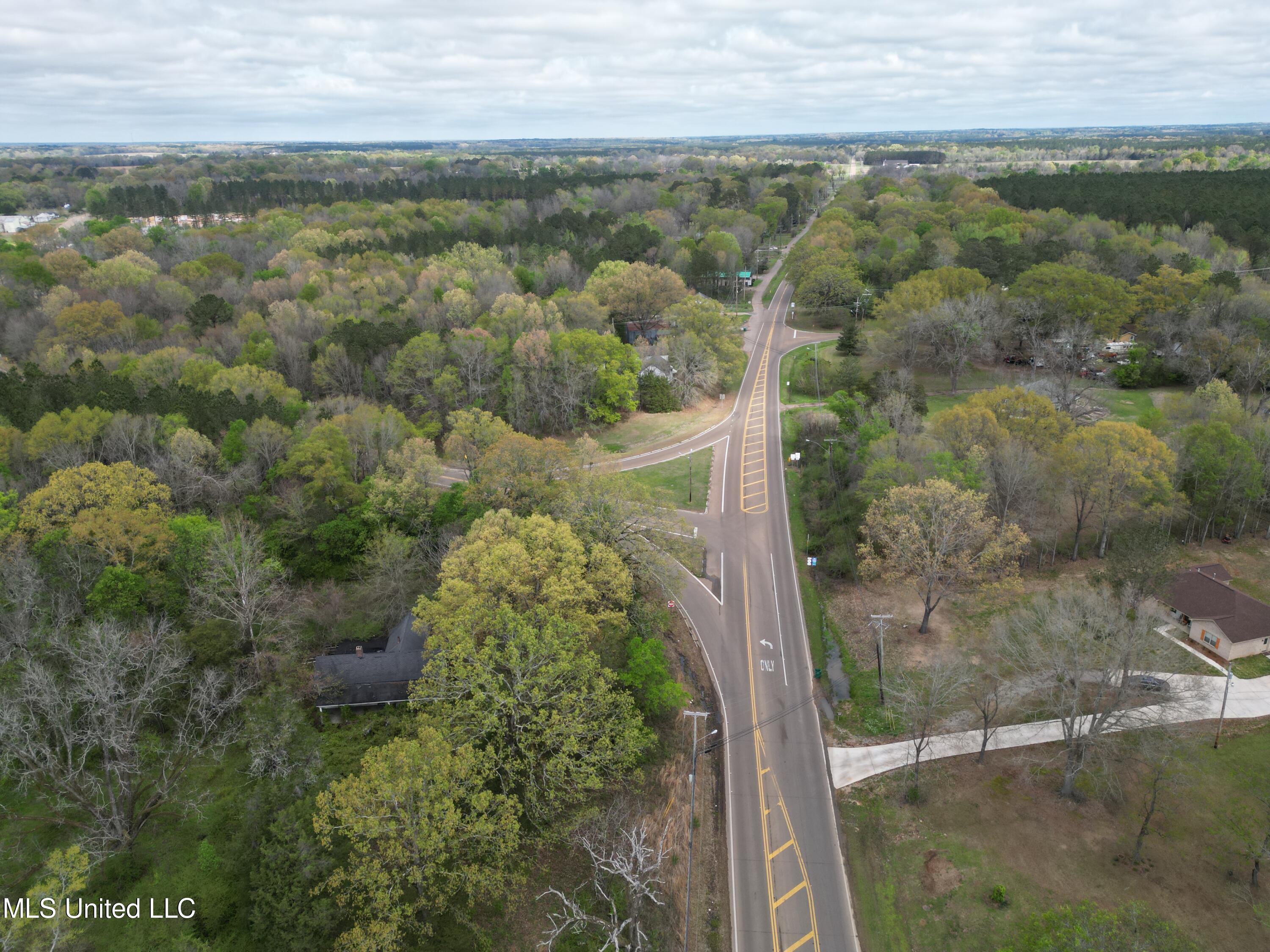 3591 Hwy 51, Madison, Mississippi image 3