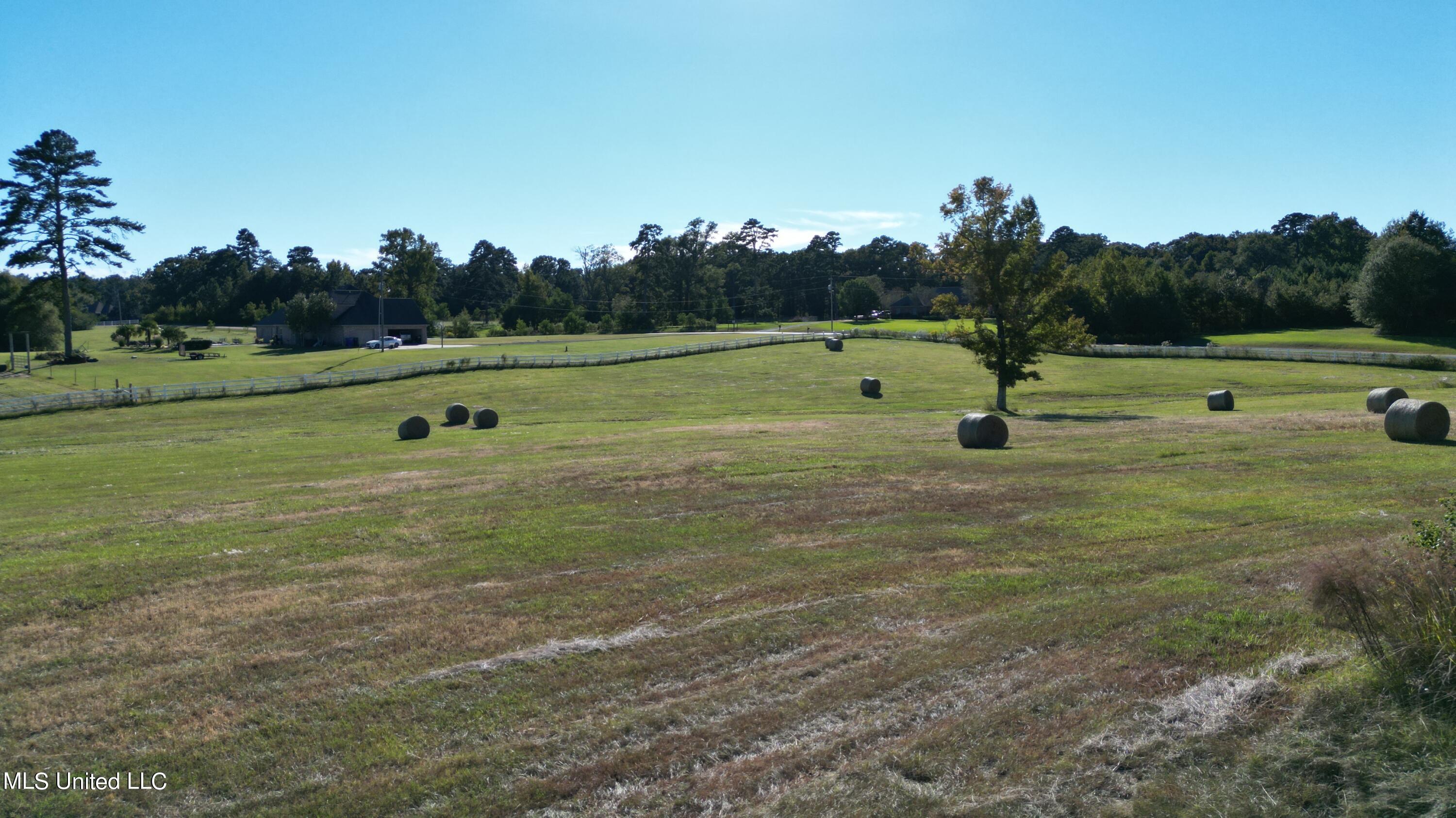 Cindy Drive, Terry, Mississippi image 9