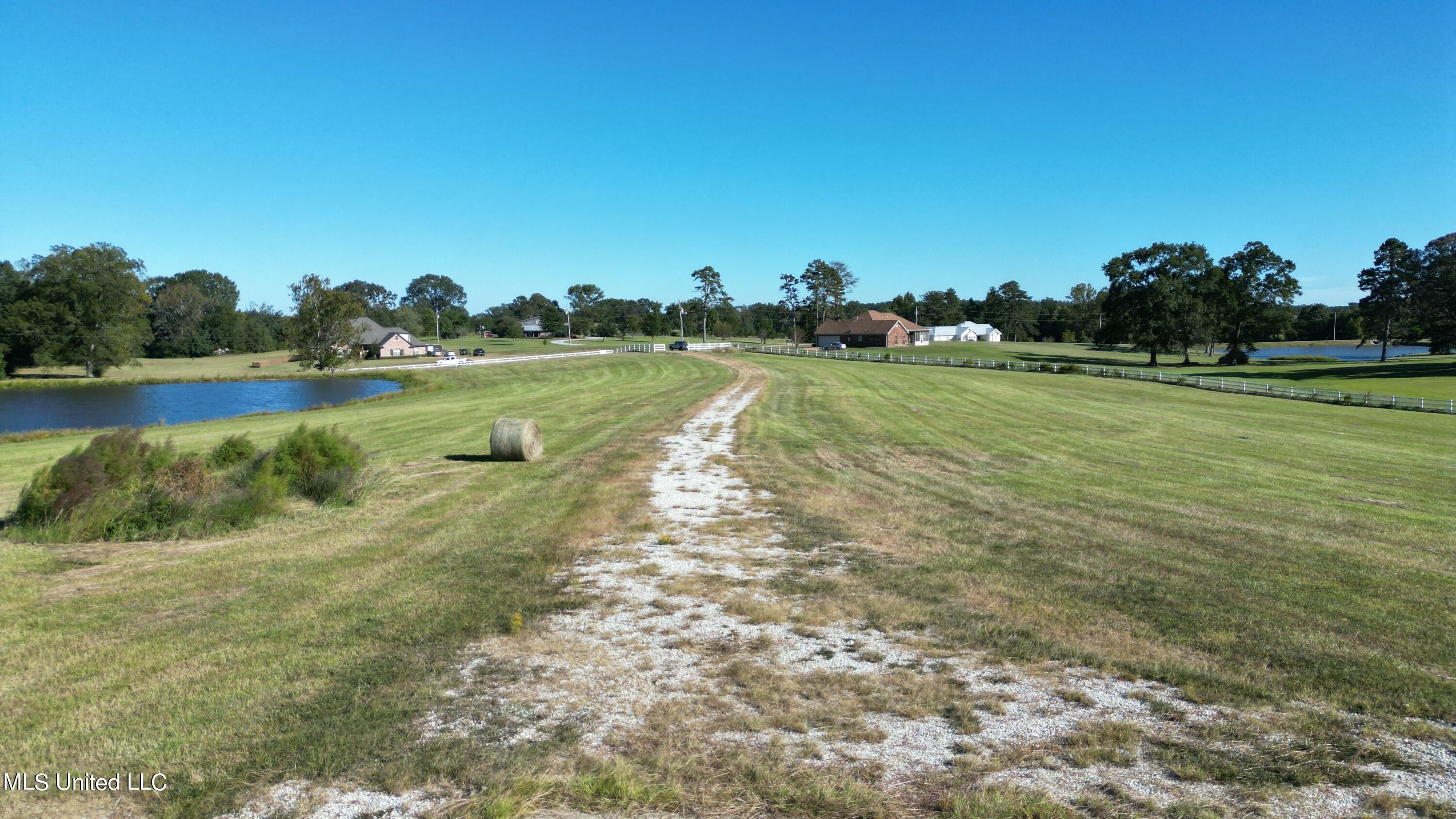 Cindy Drive, Terry, Mississippi image 8