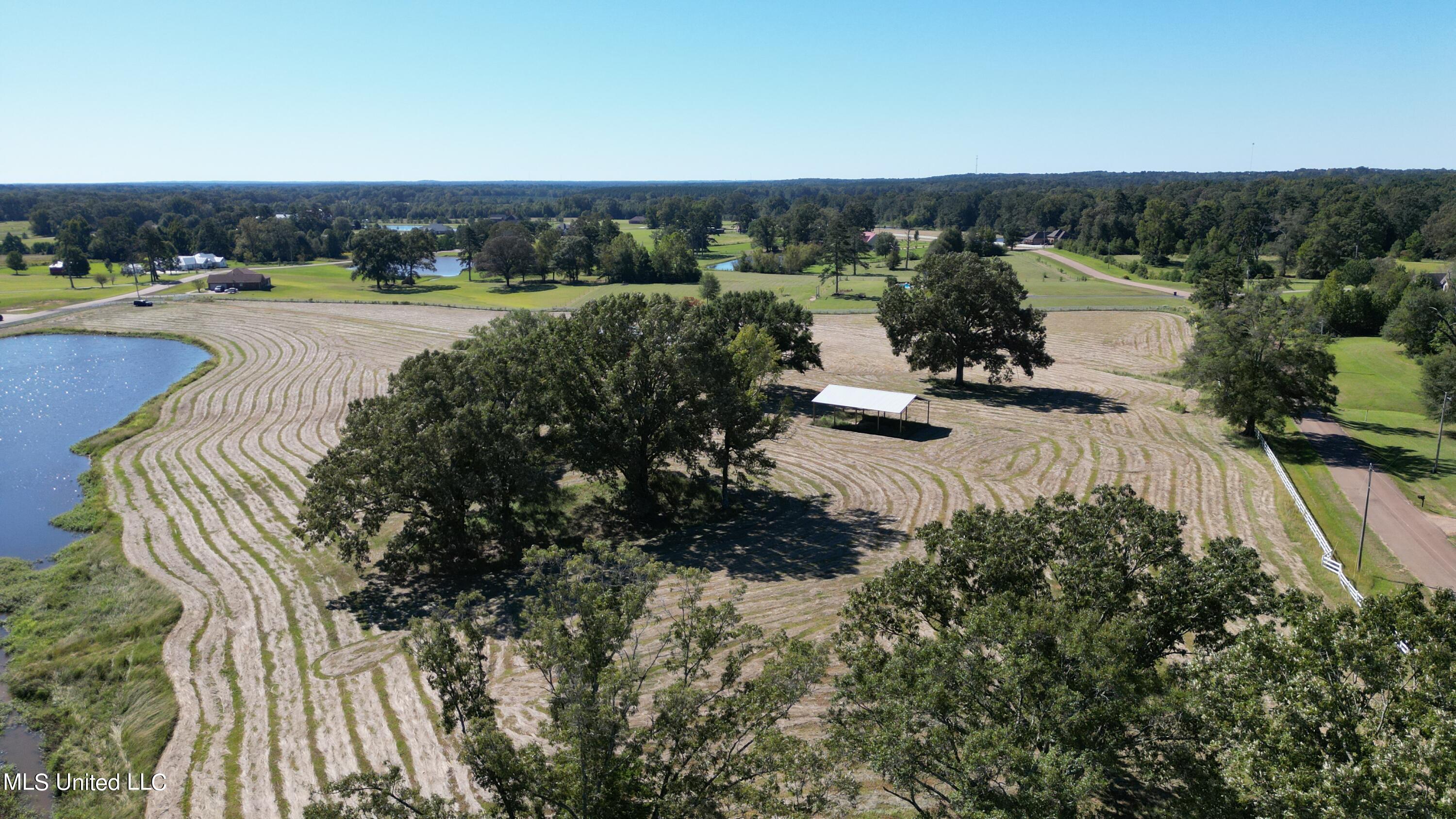 Cindy Drive, Terry, Mississippi image 5