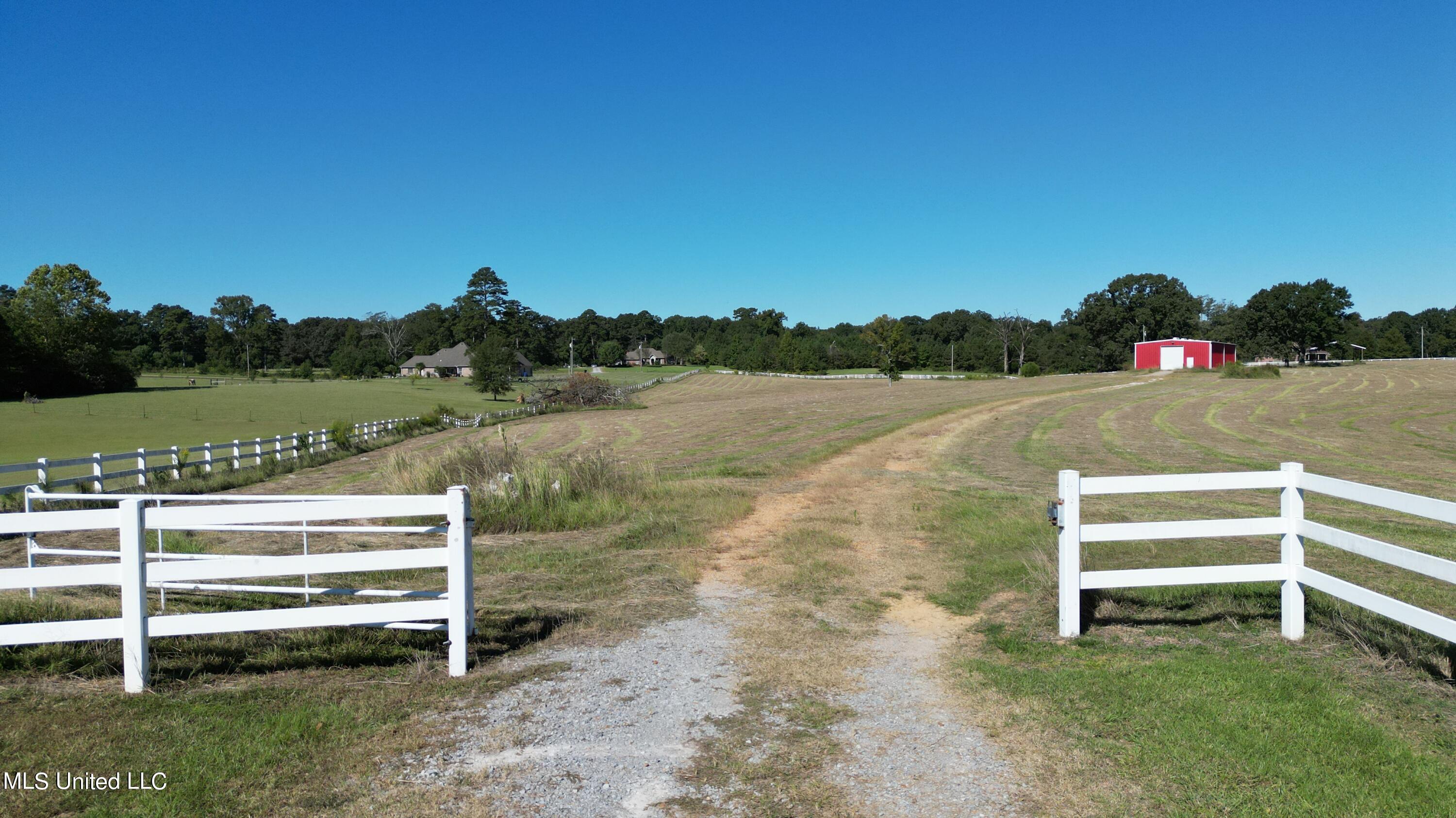 Cindy Drive, Terry, Mississippi image 2