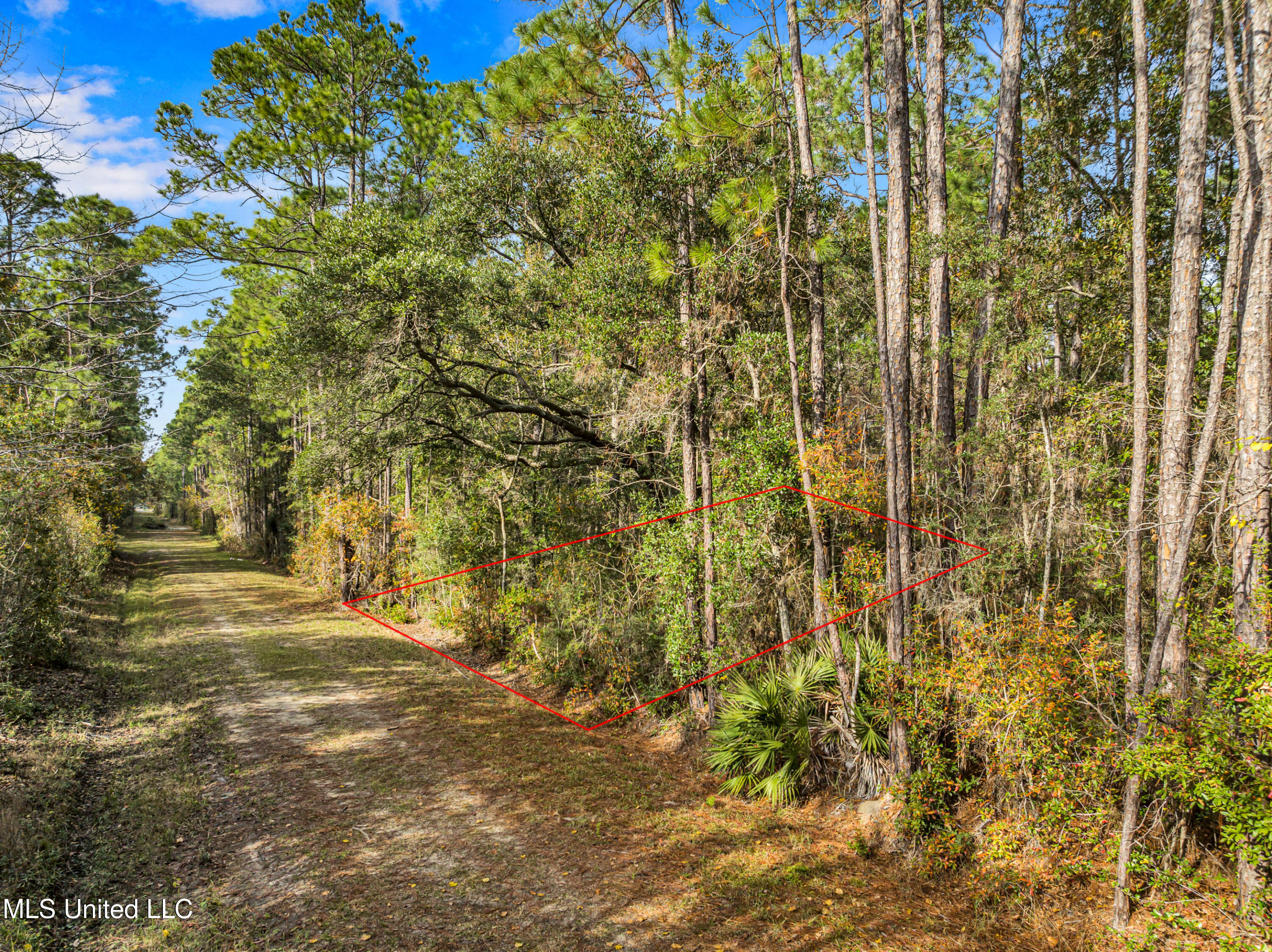 Ash Street, Ocean Springs, Mississippi image 1