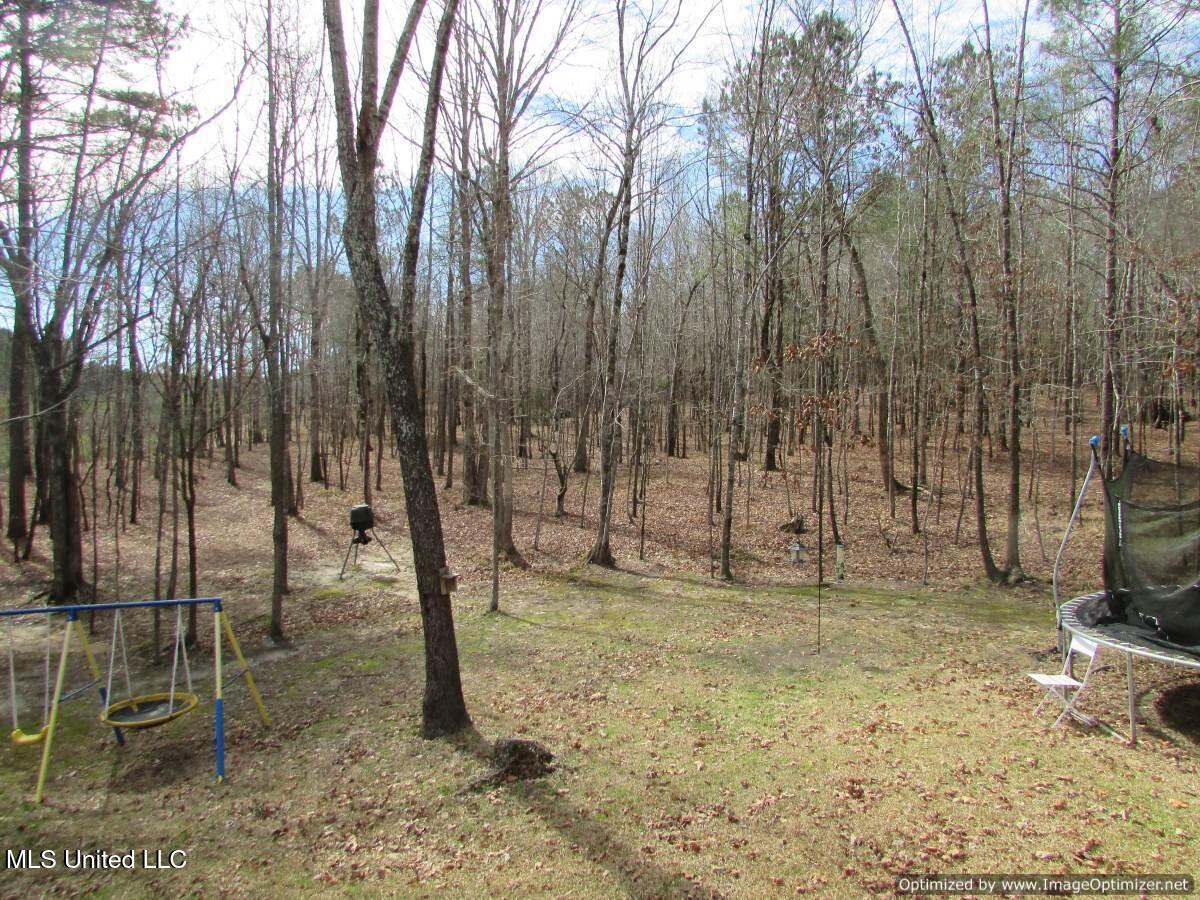 2822 Hwy 407, French Camp, Mississippi image 40