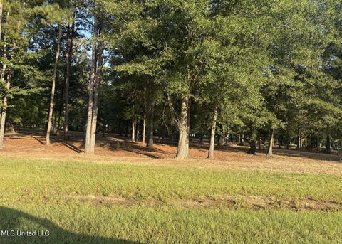 Vacant Land For Sale - 00 Shire Avenue<br/> Forest, MS 39074