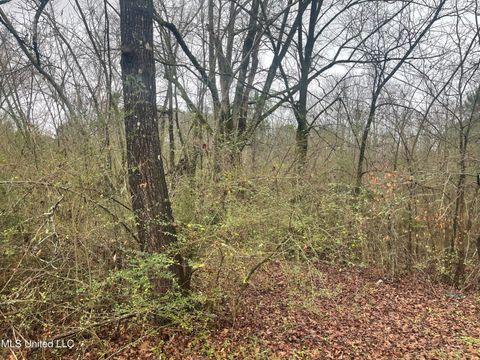 Vacant Land For Sale - 303 E Lake Street<br/> Booneville, MS 38829