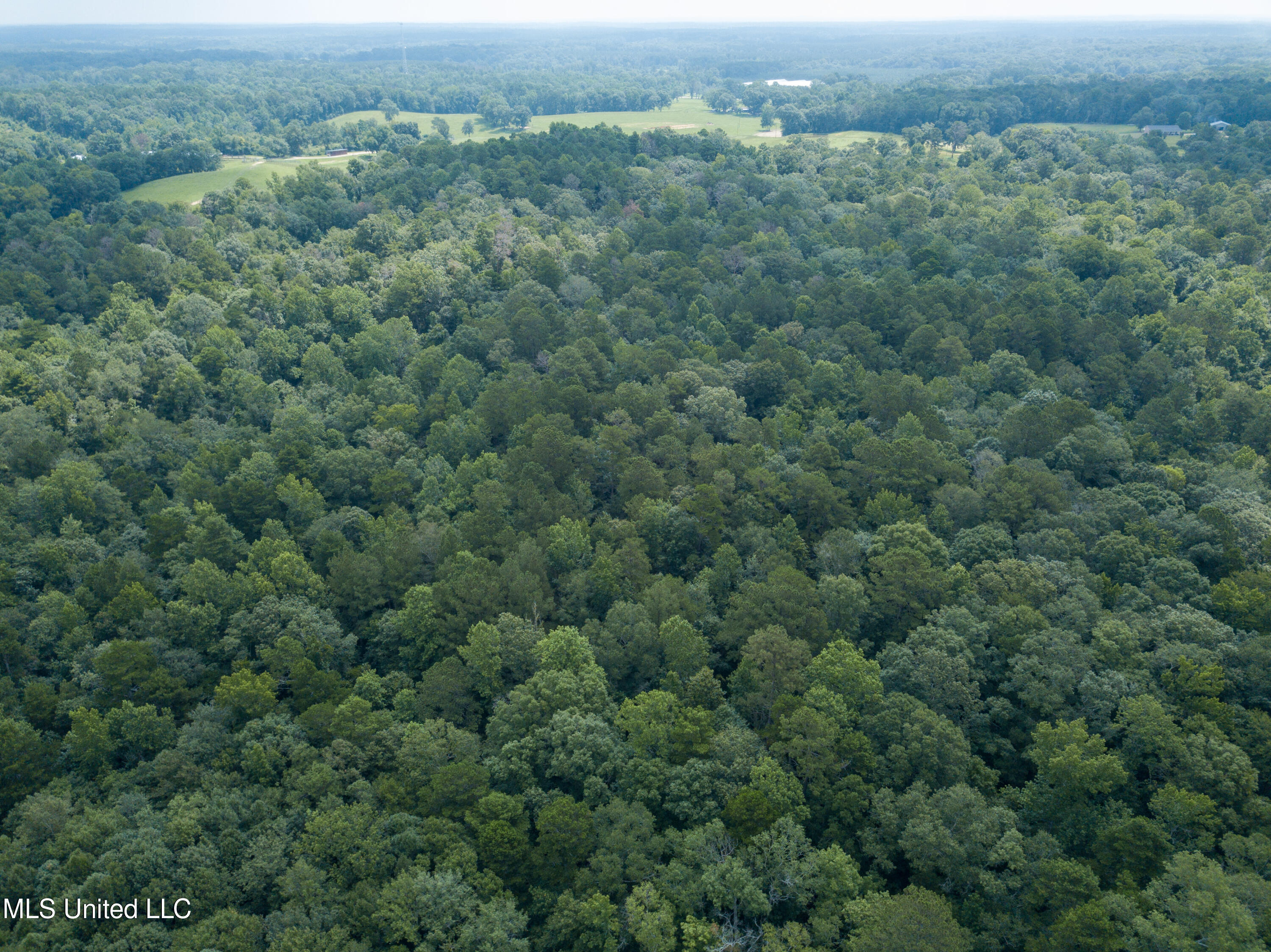 Smith County Road 501-2, Raleigh, Mississippi image 15