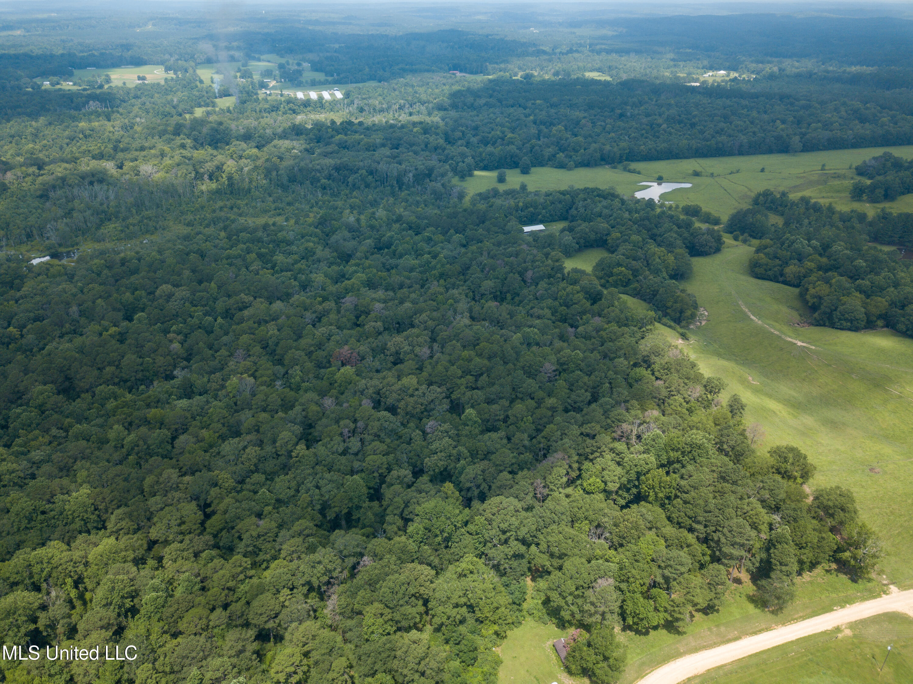 Smith County Road 501-2, Raleigh, Mississippi image 10