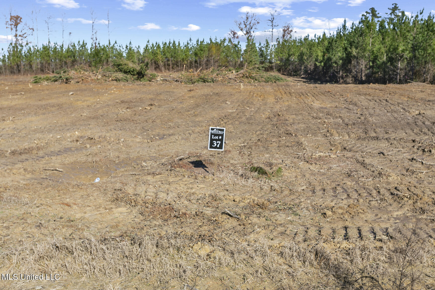 Lot #37 Freedom Ridge Lane, Brandon, Mississippi image 8