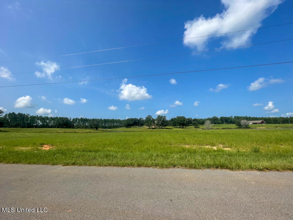 Lot 10 Conner Stringer Drive, Lucedale, Mississippi image 40