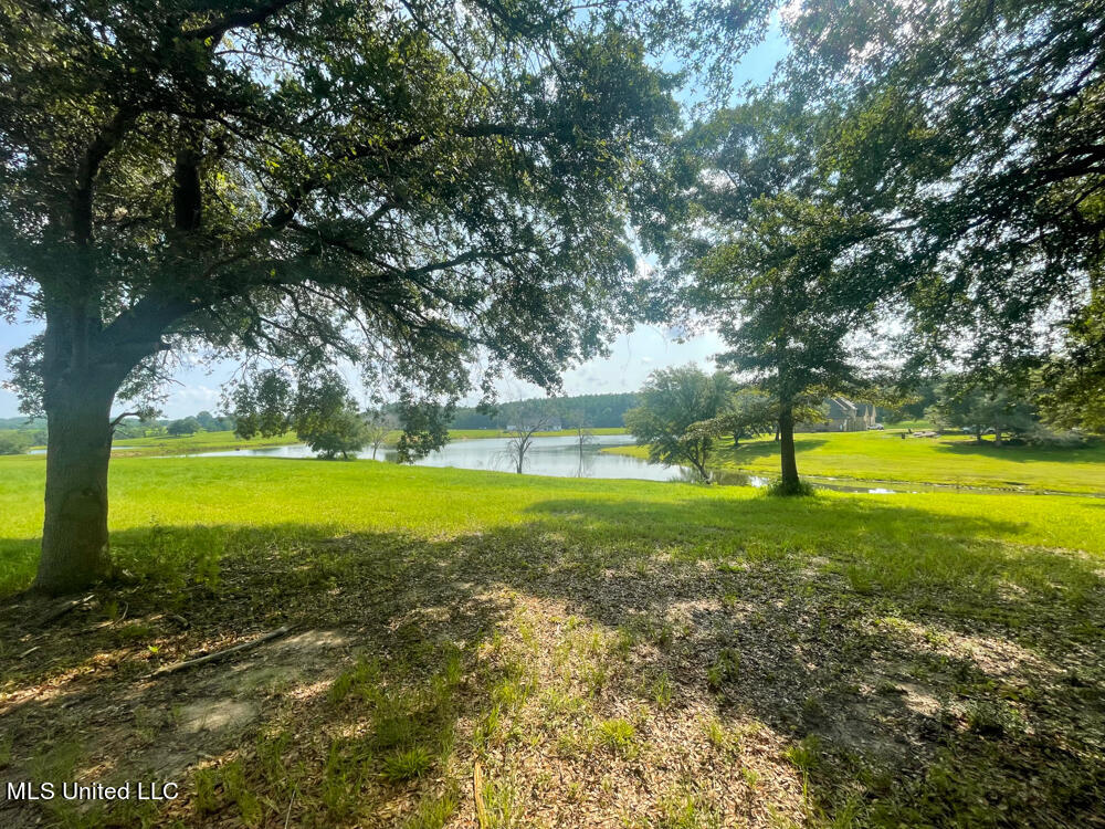 Lot 10 Conner Stringer Drive, Lucedale, Mississippi image 21