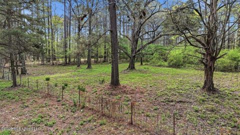 Vacant Land For Sale - Harrisville Braxton Road<br/> Braxton, MS 39044